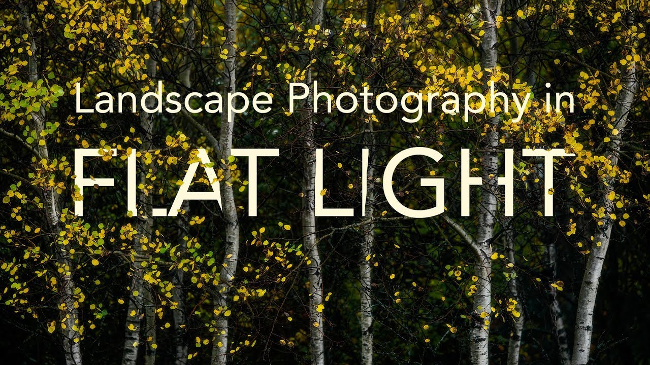 Forest Photography with Flat Light | Autumn Colors in Saskatchewan