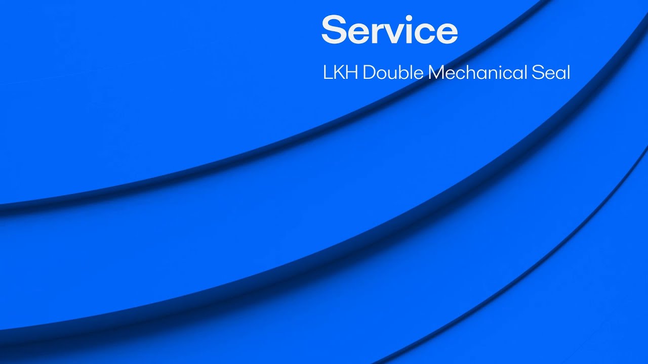 LKH Double Mechanical Seal service