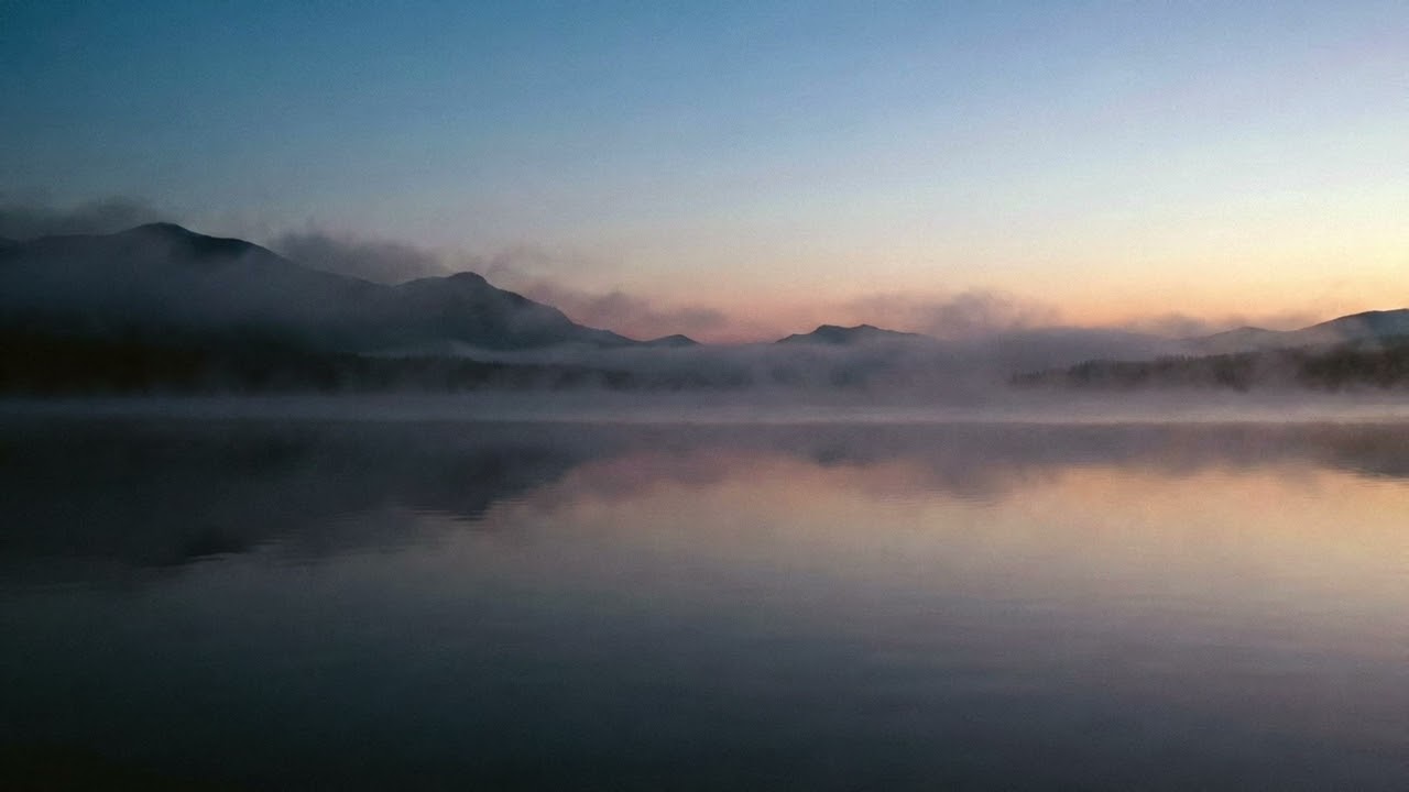 Relaxing Handpan Music for Deep Focus 🌲 Calm Ambient Meditation