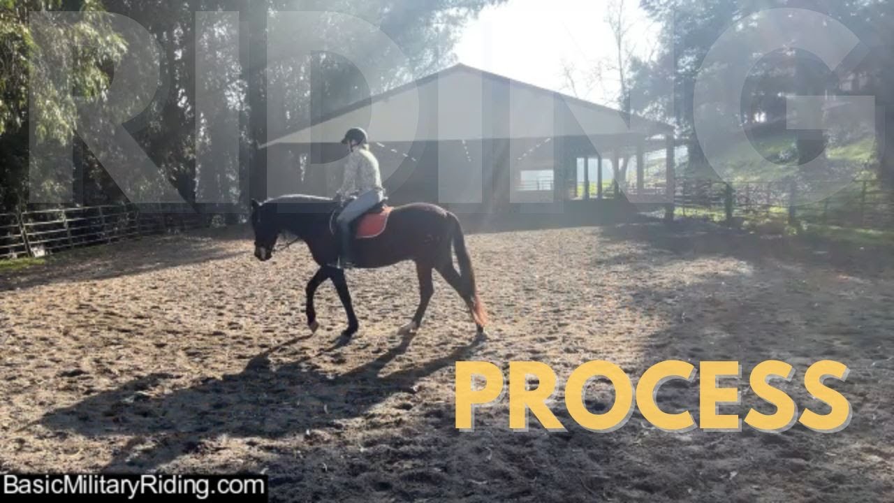 This Should Be Normal Soft, Quick, Precise Forward in a Young Spanish Horse | Unedited Daily Session