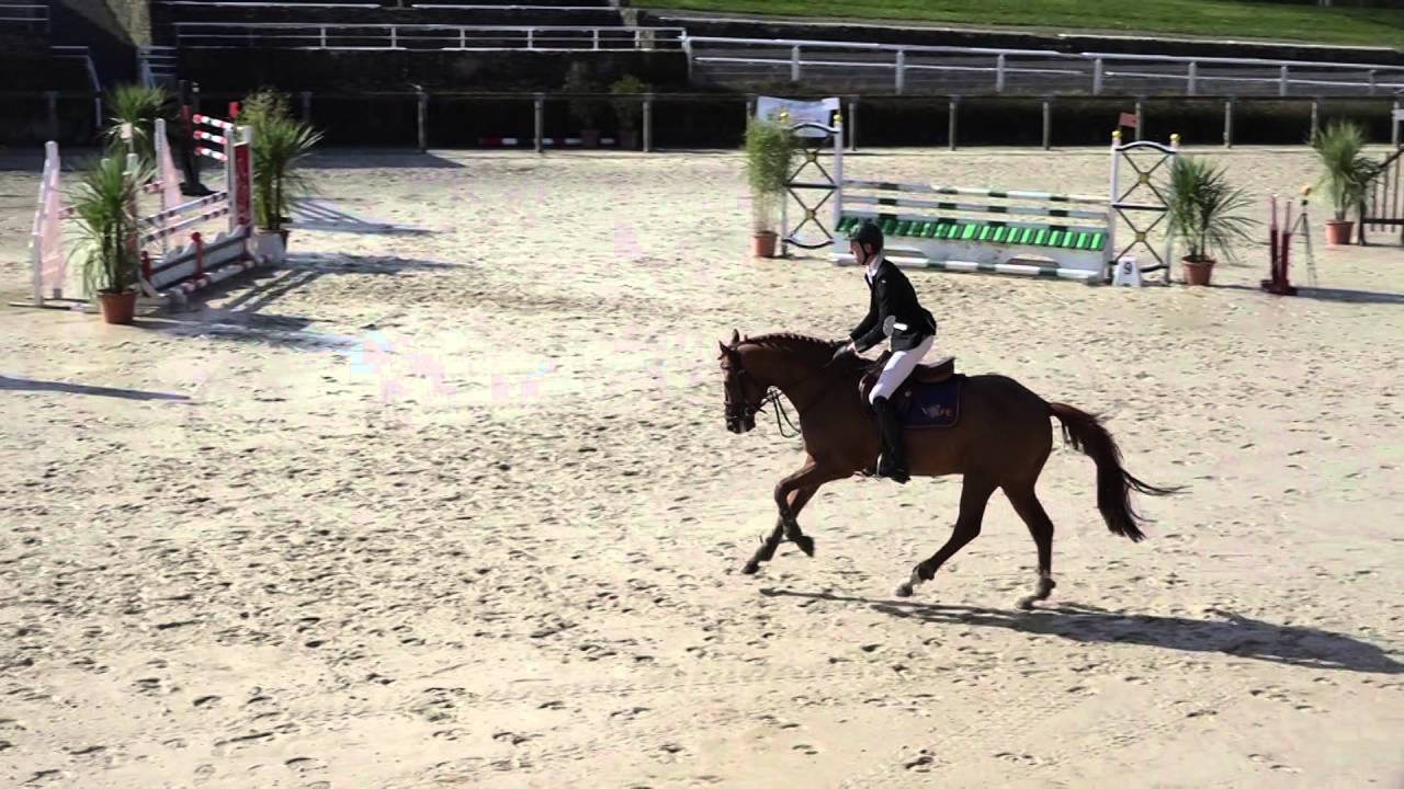 Candy de Nantuel - 4 ans Qualification Saint-Lô