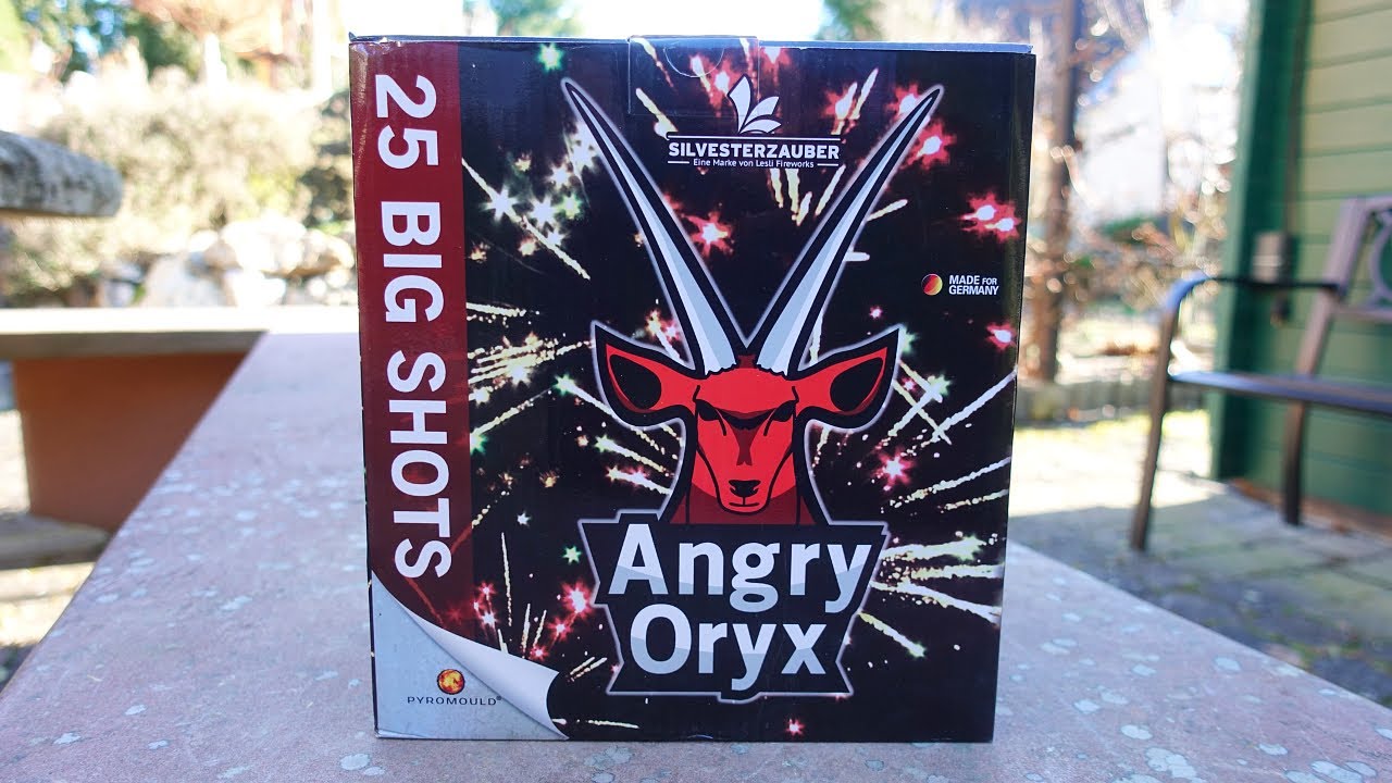 Lesli ANGRY ORYX | 20 € Feuerwerk Batterie | Geht gut ab! | Silvester kann kommen [Full HD]