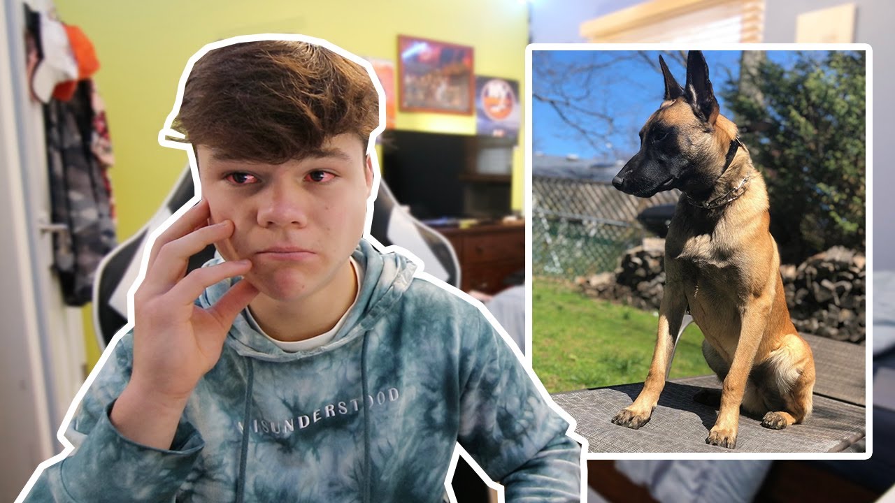 what happened to my dog max...