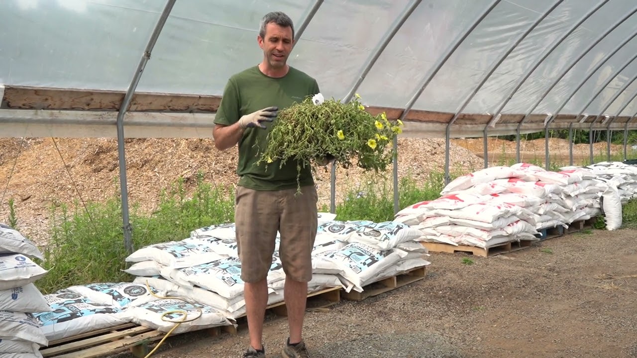 Can I Compost -  Potted Plants, Old Potting Mix & Spent Soil