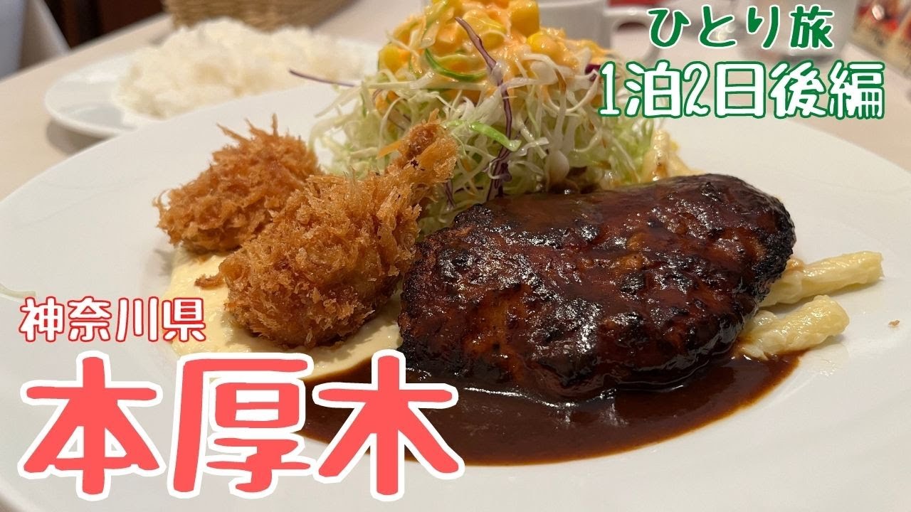 本厚木で洋食ランチとスパイシーつけダレのホルモンを食す！〆は熱々土鍋の黒うどん（1泊2日ひとり旅後編）【めし歩き#45】