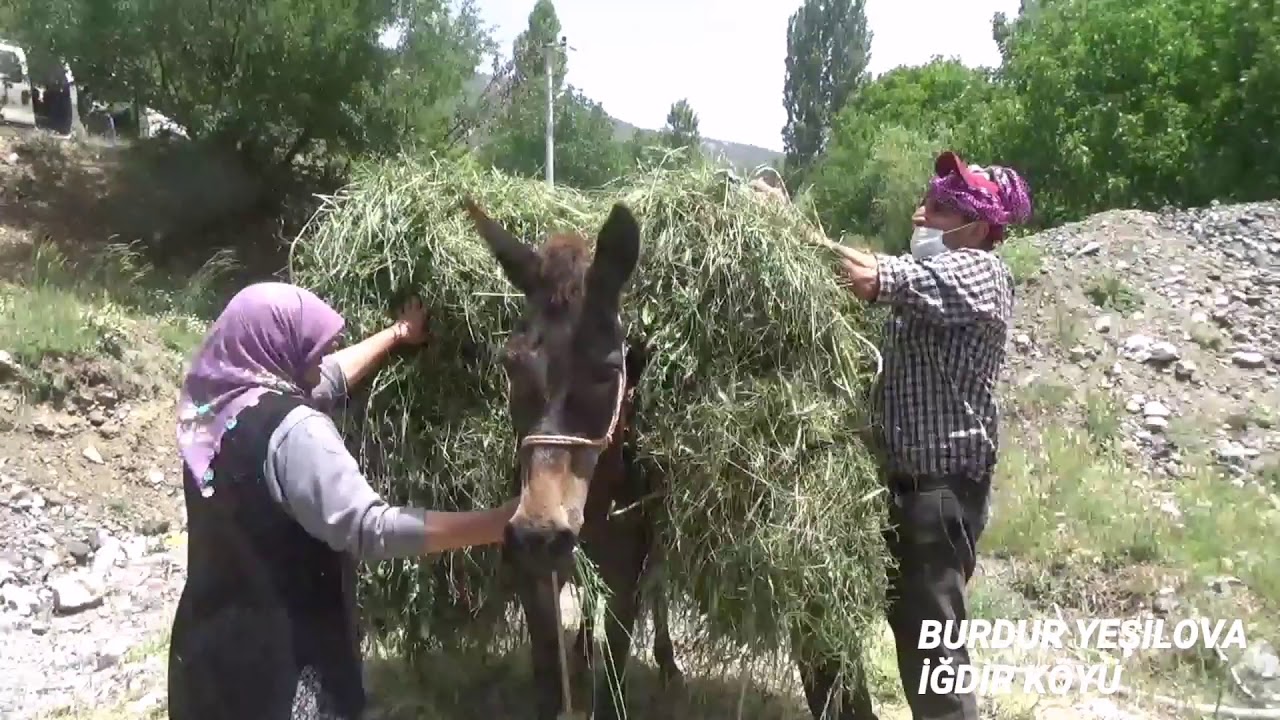 İgdir Köyü slayt