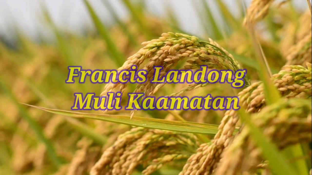 Francis Landong - Muli Kaamatan