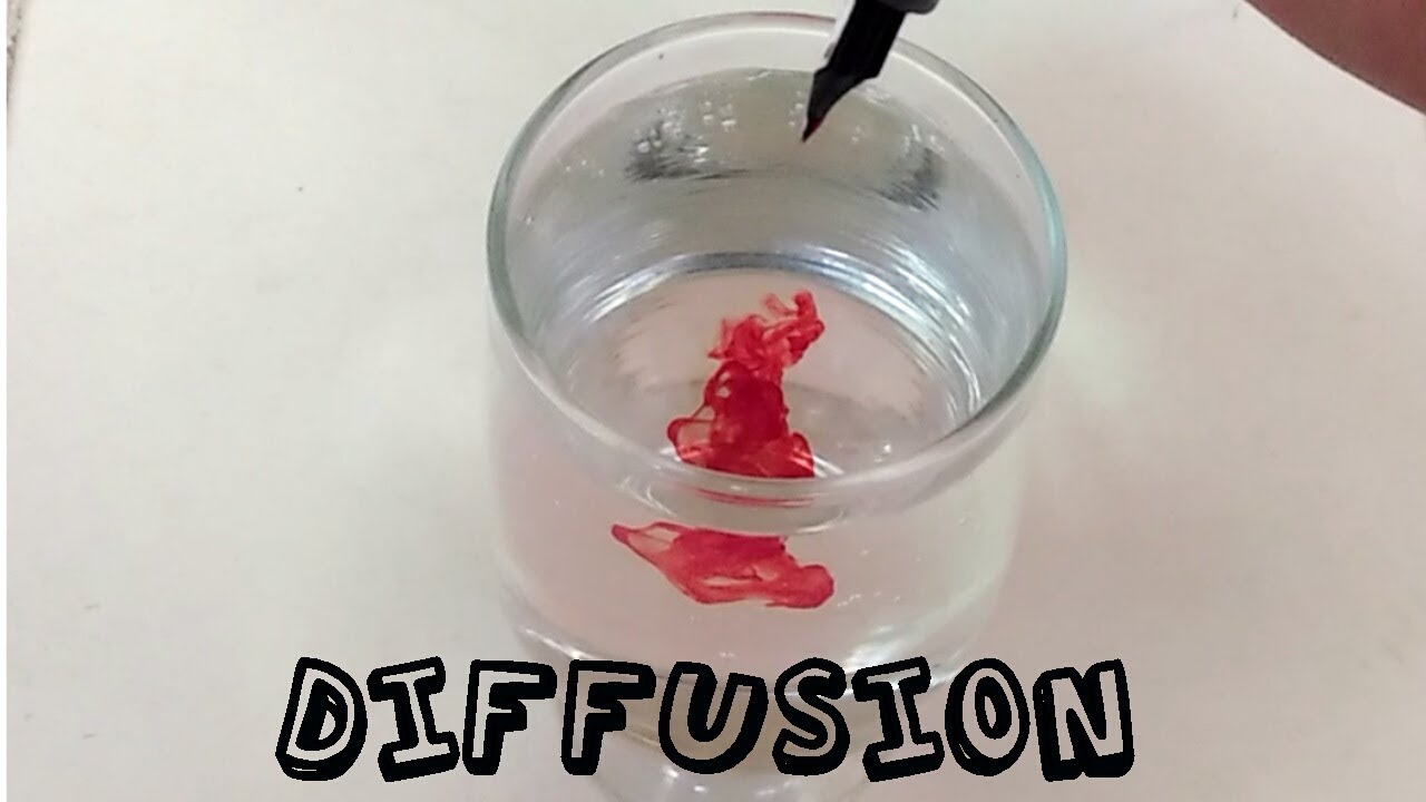 Diffusion | Ink and water | Water and petrol |Milk and Honey