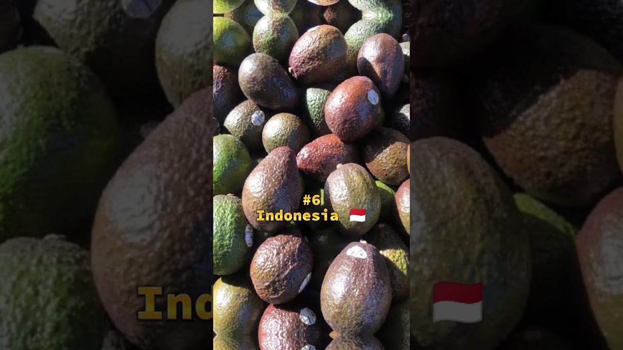 Top 10 Countries With Avocado Production #viralvideo #avocado #top10info #foryou #facts #top10