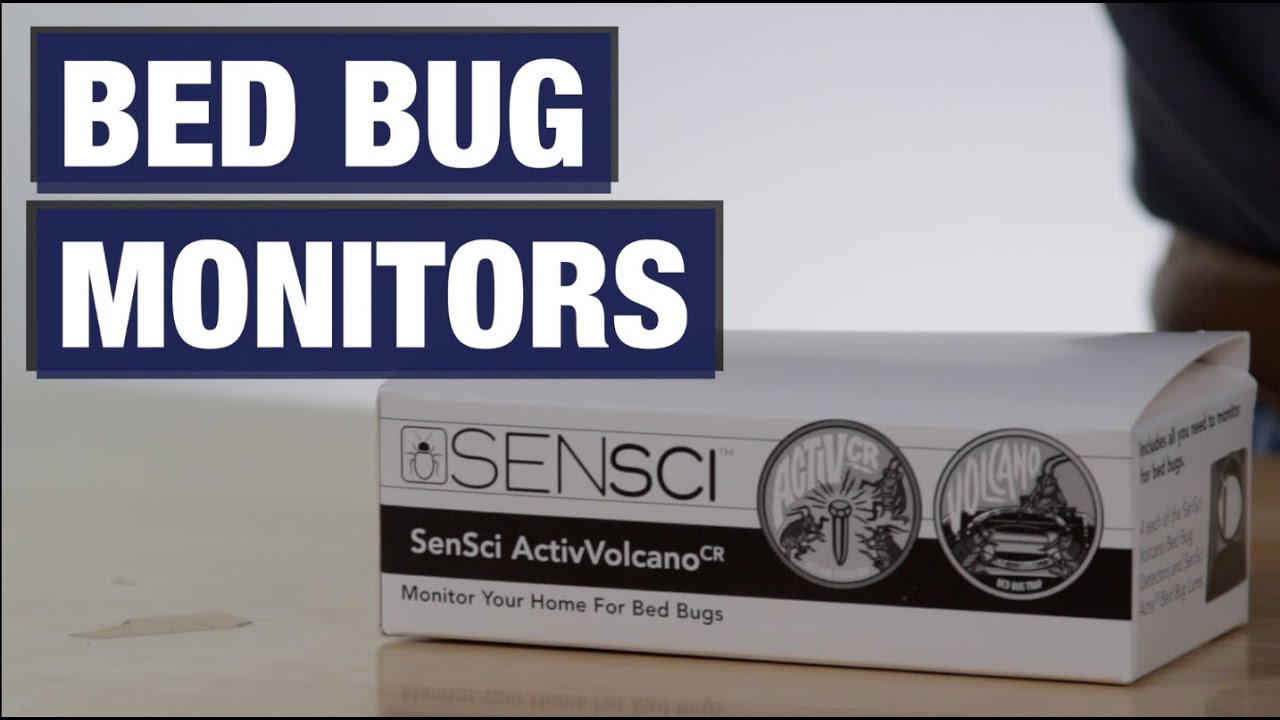 How To Find Out If You Have Bed Bugs