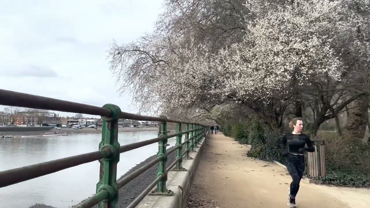 Bishops Park in Fulham, London