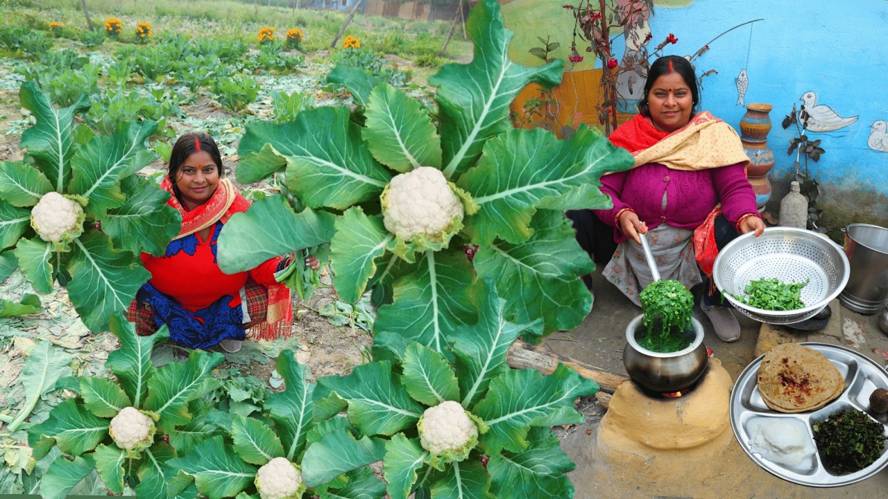 फूल गोभी के पत्ते फेके नहीं बनाए सेहतमंद सब्जी फूलगोभी के पत्तों साग phool gobhi ke patte ki sabji