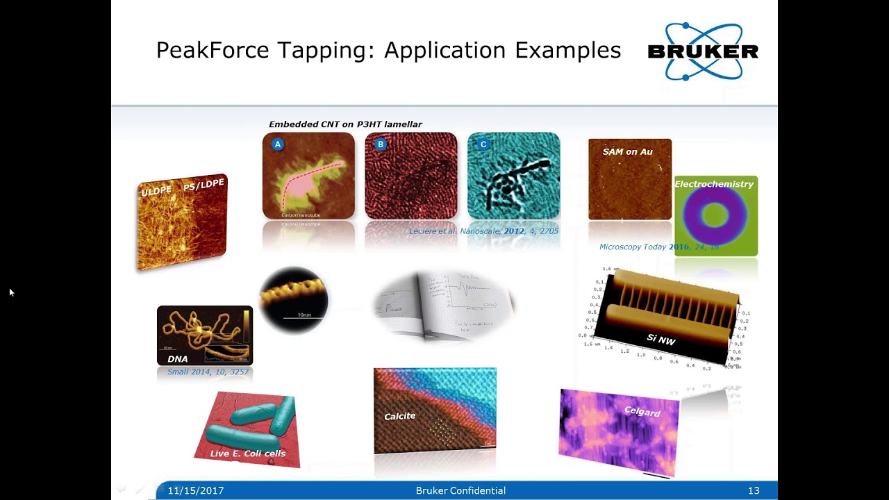 AFM | Nanoelectrode Probe for Scanning Nanoelectrochemistry and Nanoelectrical Imaging | Bruker