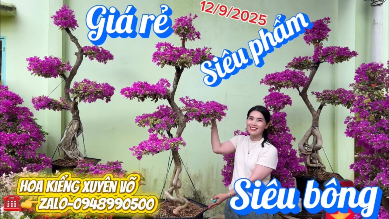 Hoa kiểng xuyên võ ngày 12/9/2025 nhiều siêu phẩm, siêu bông giá rẻ, bao ship toàn quốc 