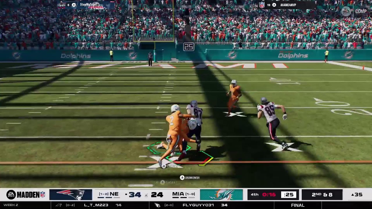 DOLPHINS FANTASY