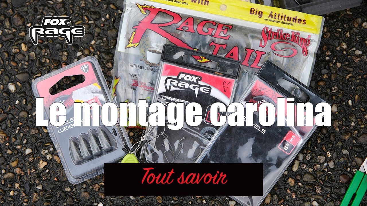 Tout savoir sur le montage carolina💥