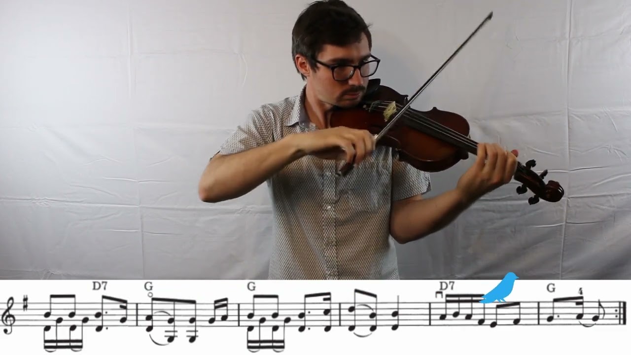 Fiddle Tune - Raccoon's Tail