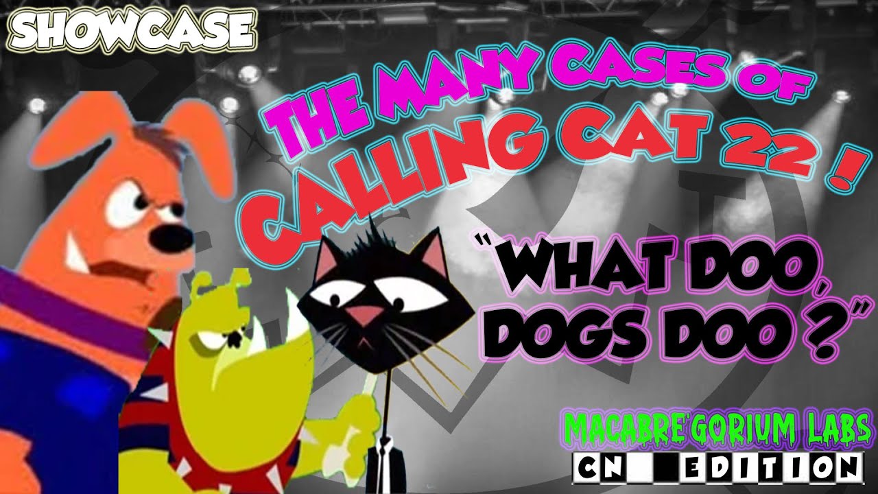 Can This CAT Figure Out DOGS? - The History Of CALLING CAT 22! - A MGL History Showcase