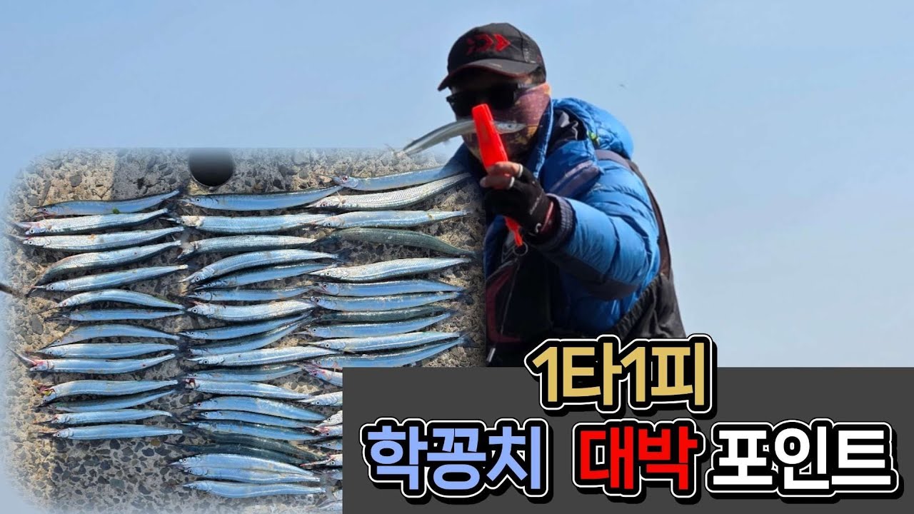 학꽁치  바로 입질 