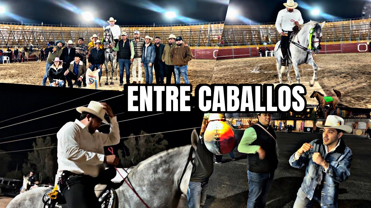 NOCHE DE CONCURSO CON MI CABALLO |ÑIKI|