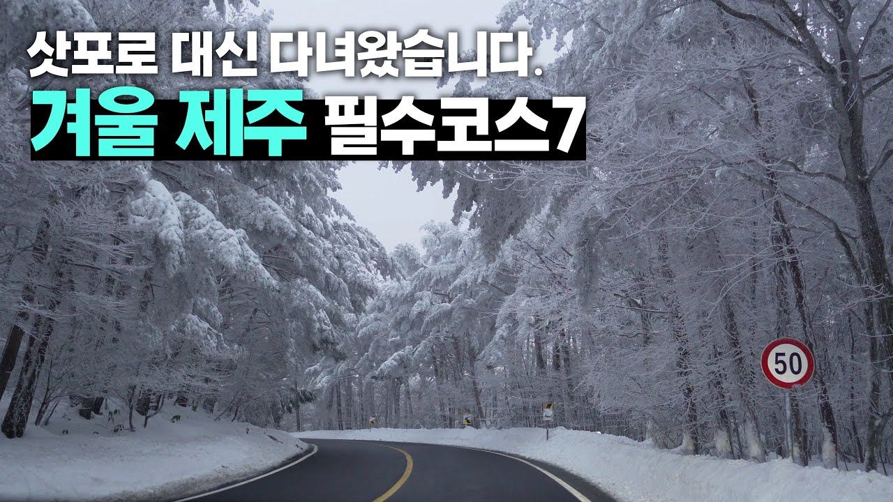 겨울 제주가 이렇게 이뻤어? 설경부터 동백명소까지 겨울 제주 7곳!