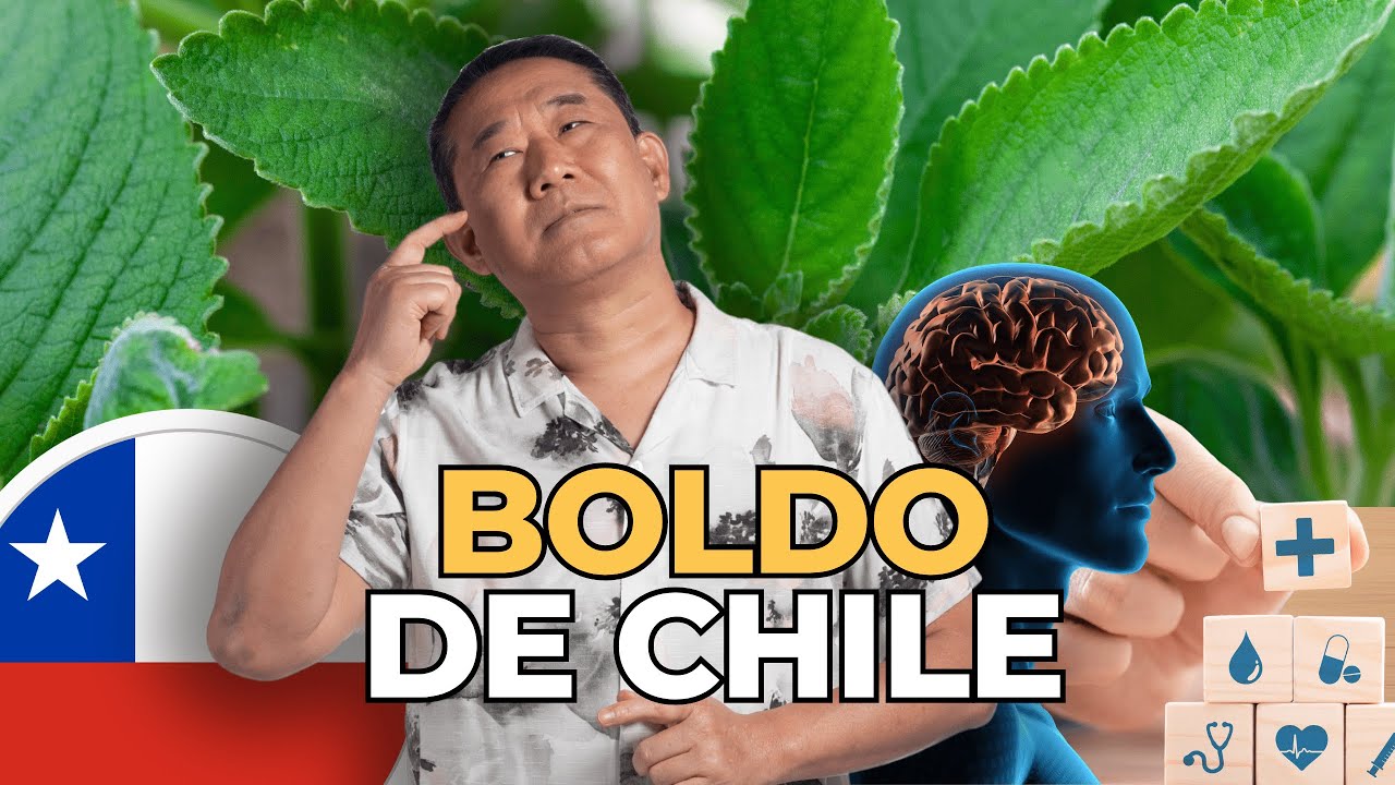 BENEF&Iacute;CIOS DO BOLDO DE CHILE | Peter Liu
