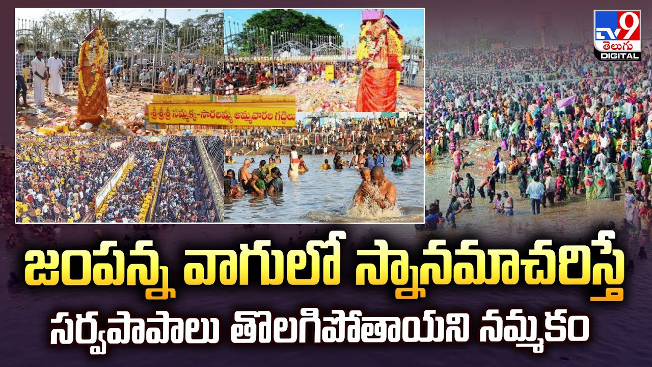 జంపన్న వాగులో స్నానమాచరిస్తే సర్వపాపాలు తొలగిపోతాయని నమ్మకం | Medaram Jatara 2026 - TV9