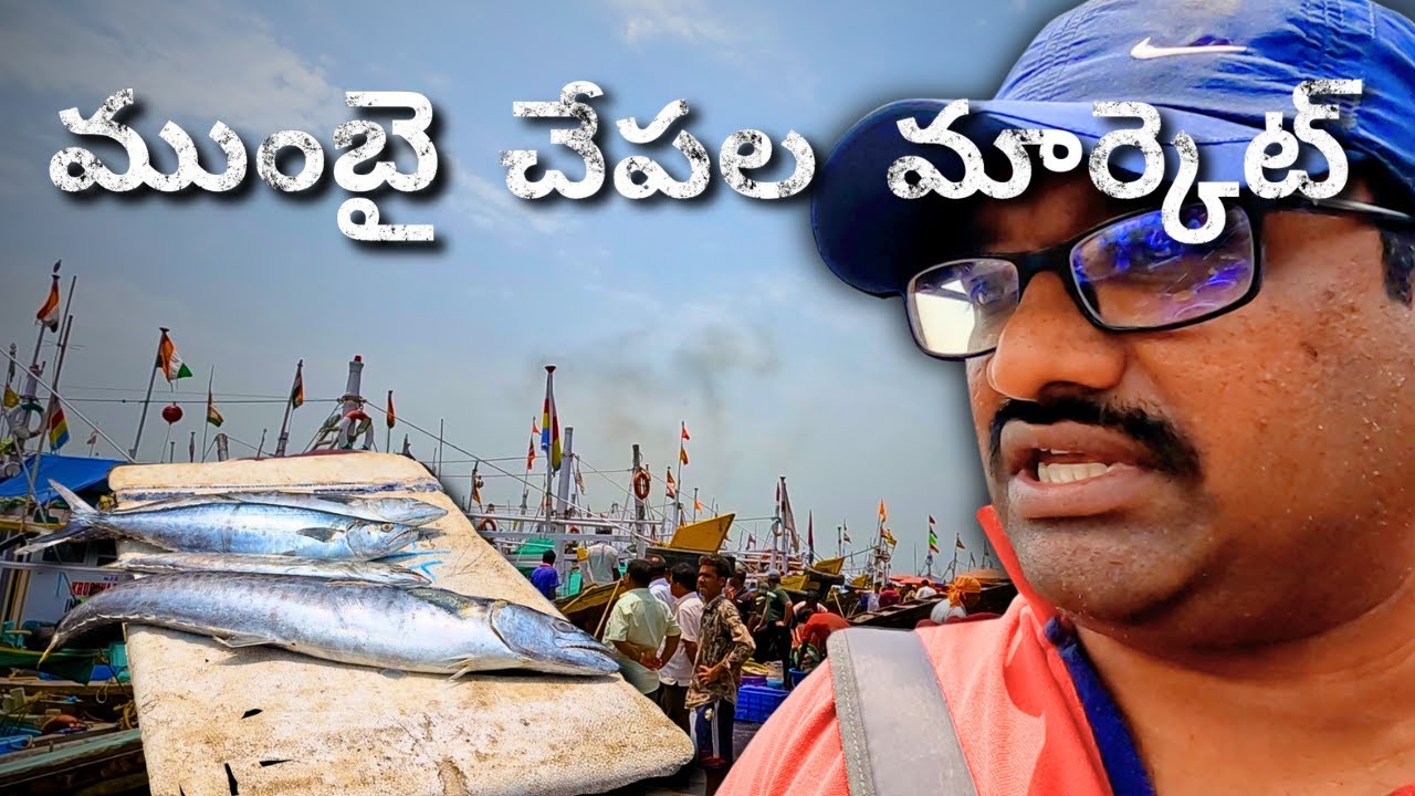 Exploring Mumbai Fish Market 🐟 | Fresh Seafood, Street Food & Local Culture Vibes 🇮🇳 #MumbaiVlog
