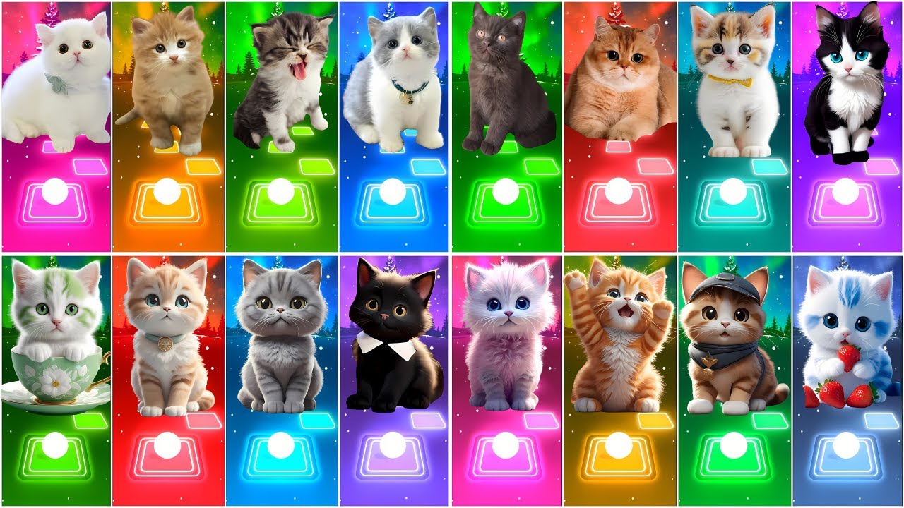 ALL CUTE CATS  - IMAGINE DRAGONS - PAYPHONE - CUPID - FADED - TILES HOP