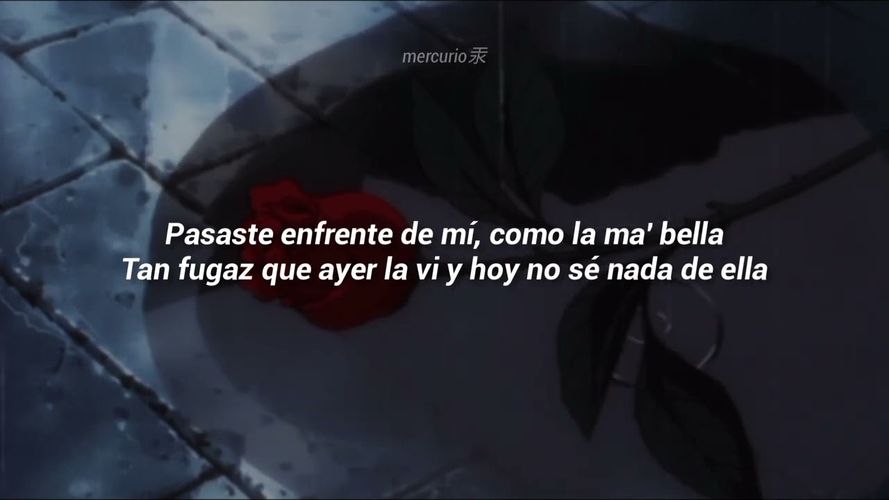 3AM  Una Rosa Letra