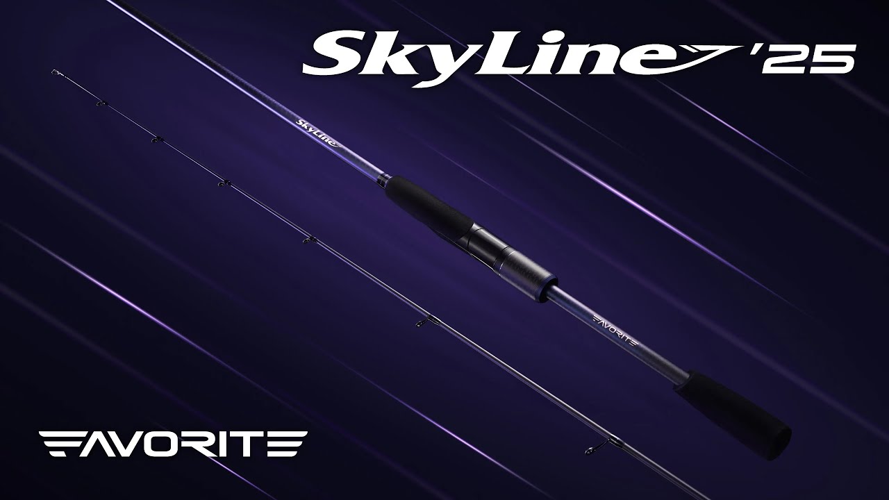Favorite SkyLine ’25 - ХТО ТИ ТАКИЙ????  SKY1-792L-HS.