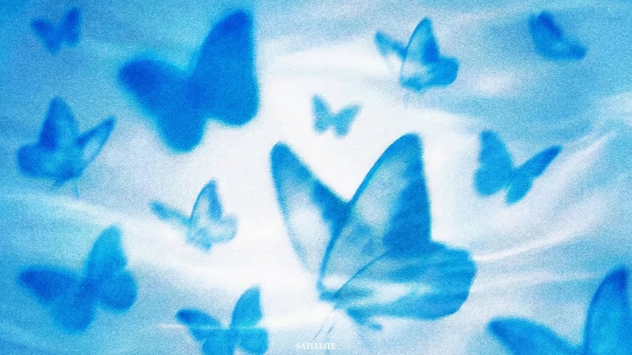 PLAYLIST: 모르포 나비는 파랗지만 파랗지 않다.