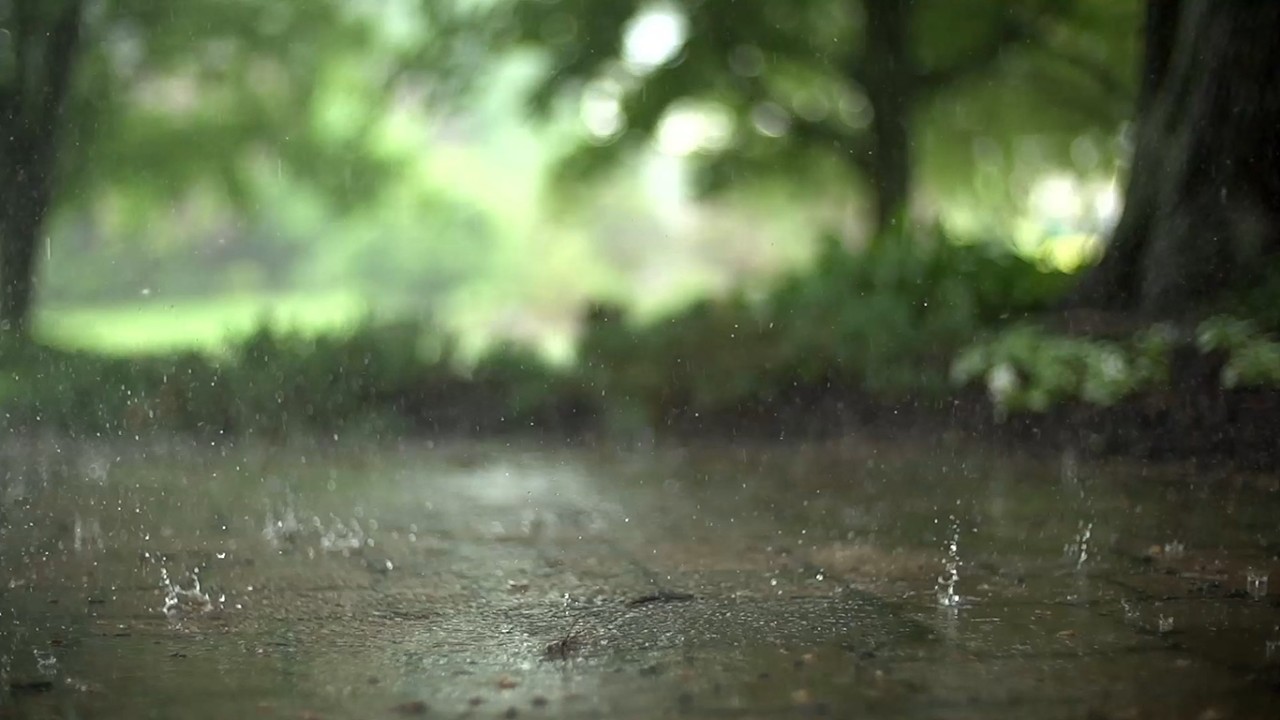 Rain & Relax/Cadlma #rain #rainsounds #rainyday #rainyweather #relax #relaxingvideo #relaxing