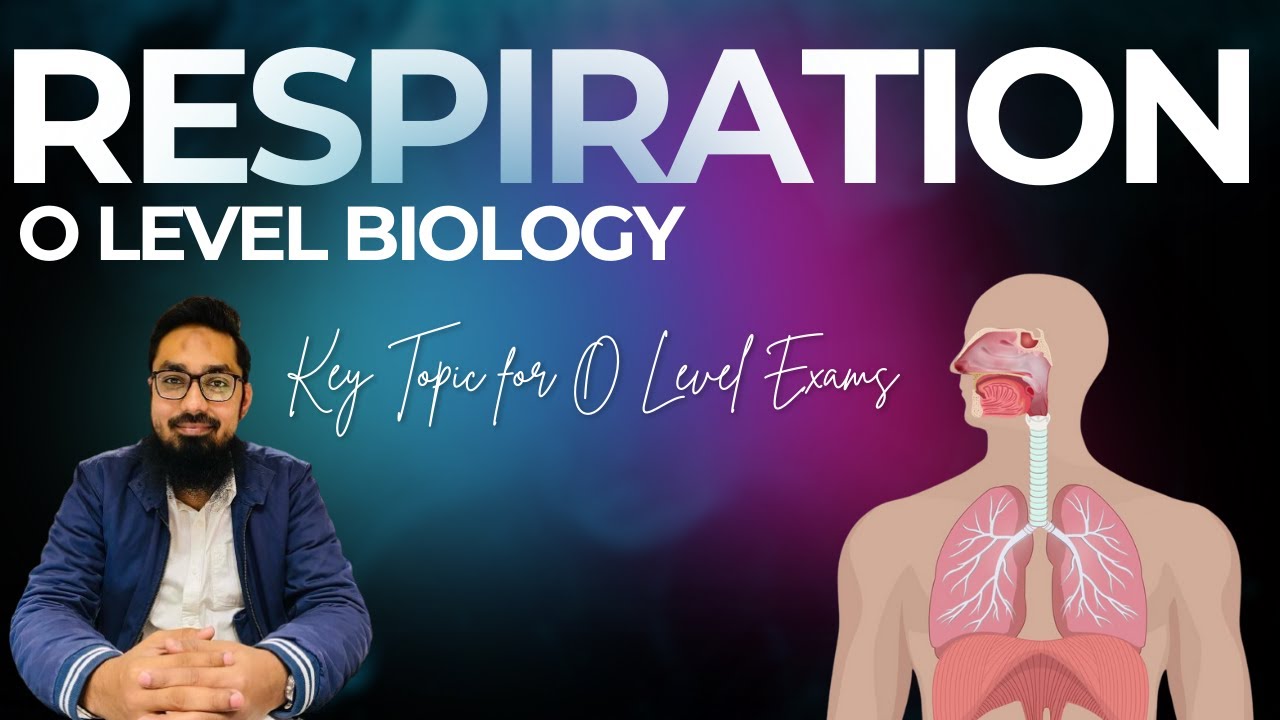 Respiration Explained (Part 1) | O Level Biology Made Easy