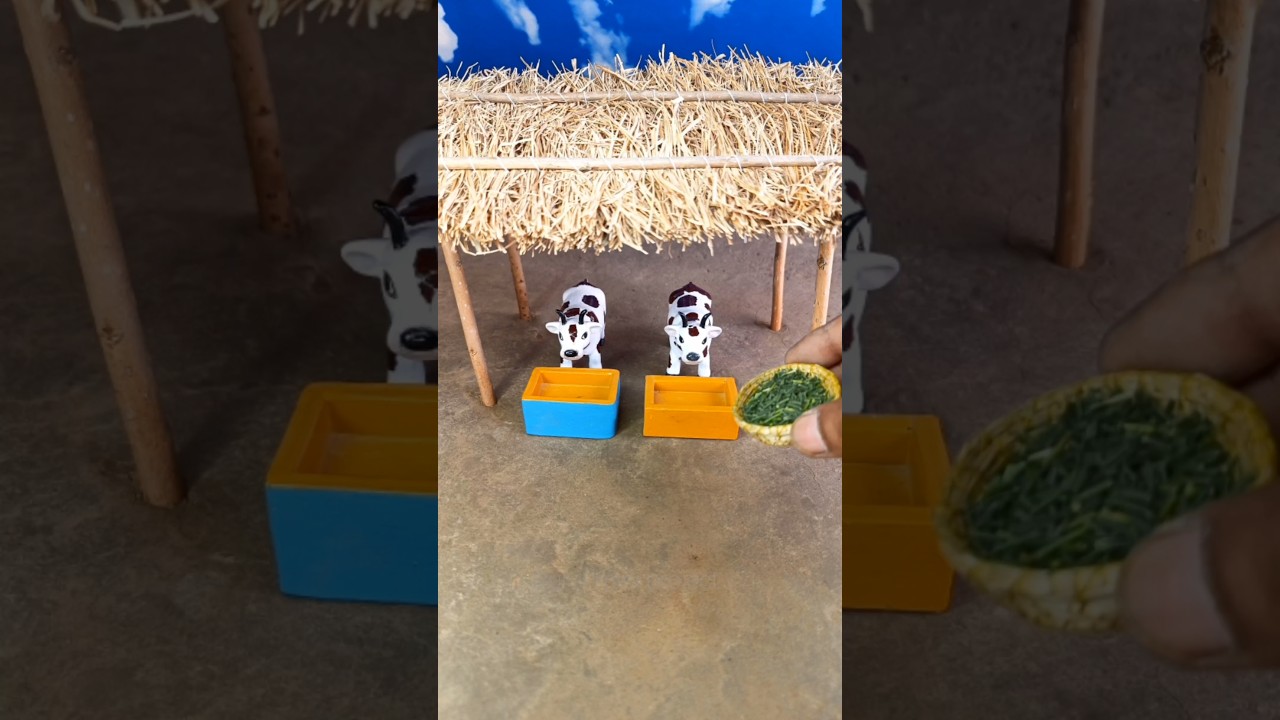 How to make cow shed mini project for two cows