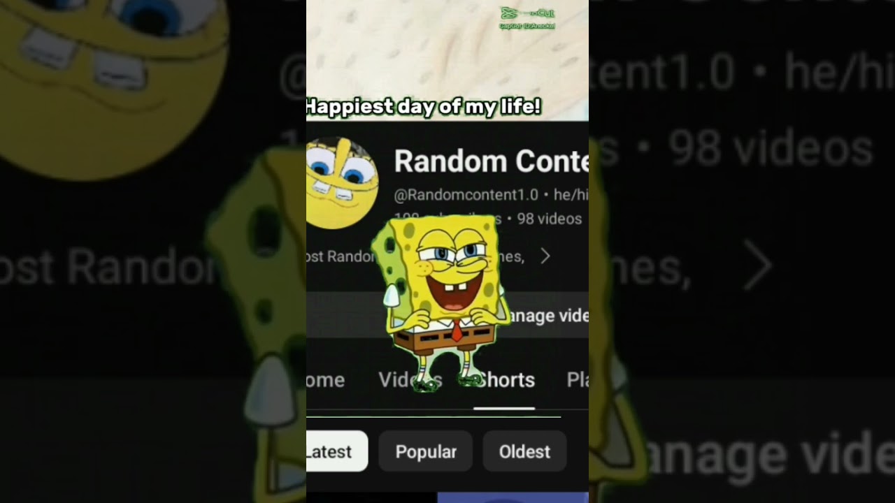 100 SUBS?! #sub100 #letsgo #subgoal100
