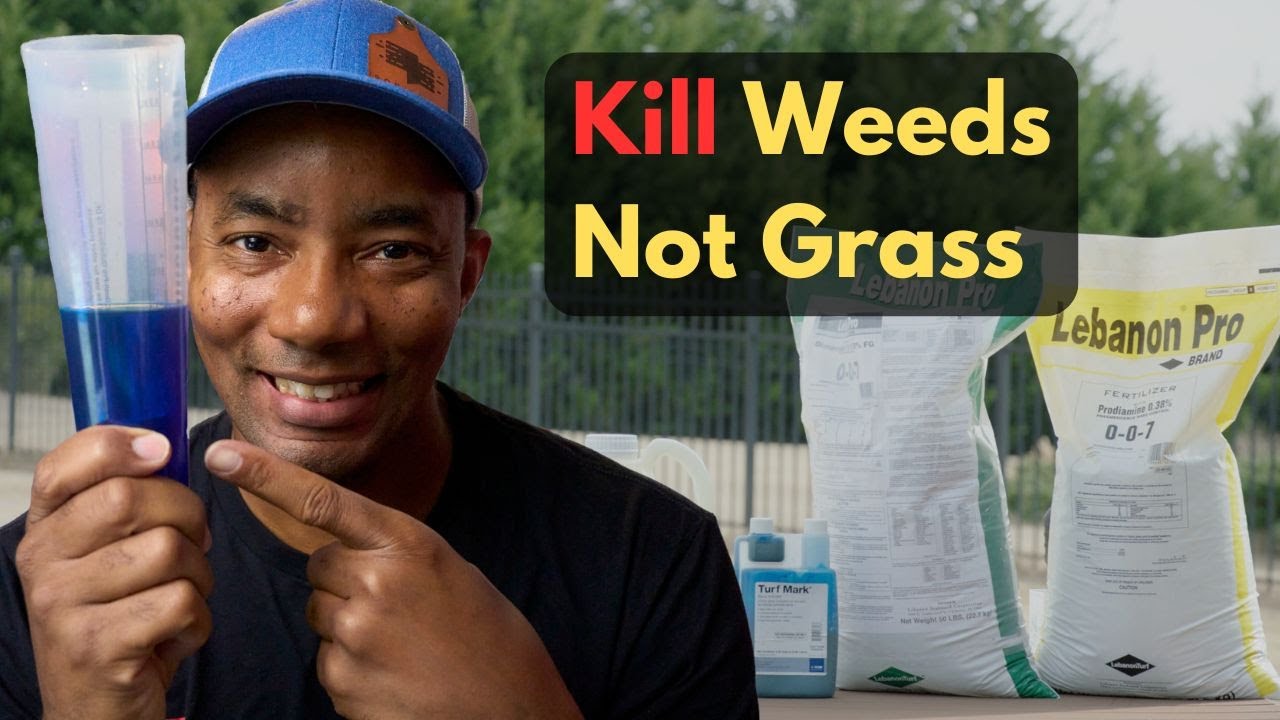 Keep Your Lawn WEED FREE with these POTENT Combos