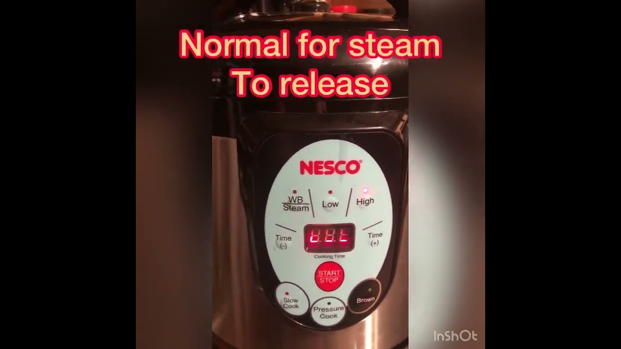 How I use my Nesco Electric Canner