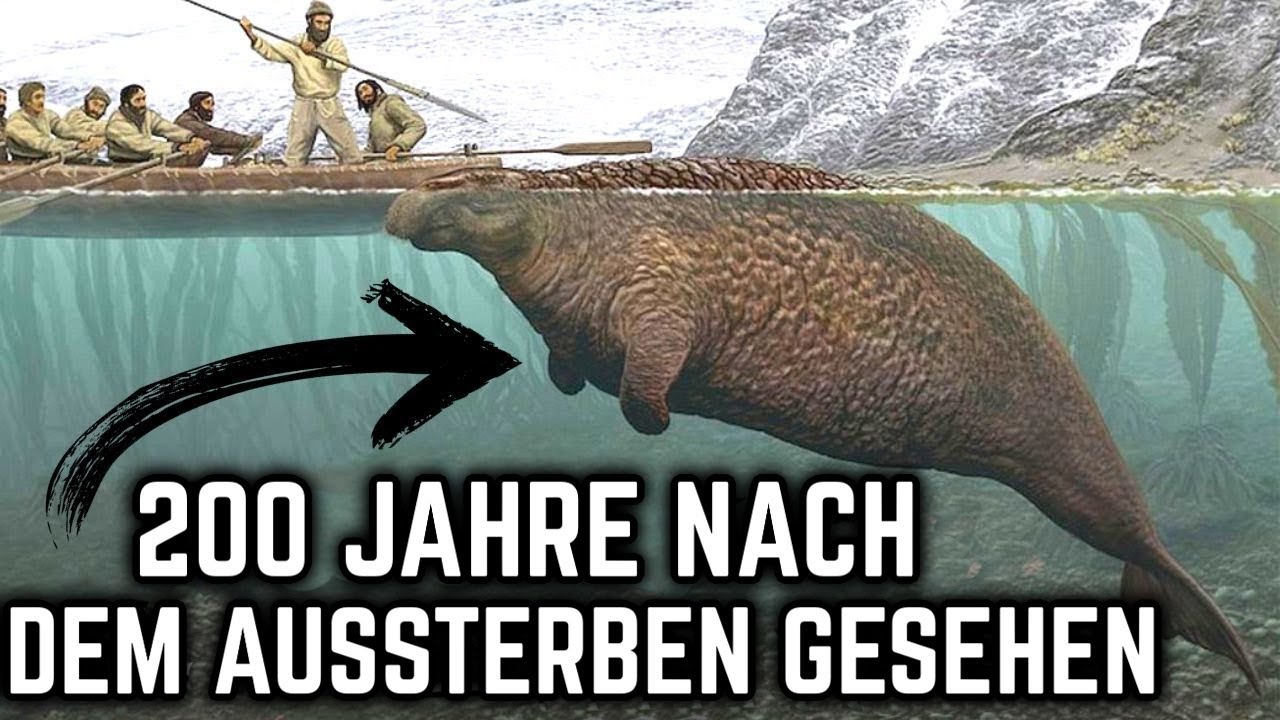Die letzten bestätigten Sichtungen von vier ausgestorbenen Tieren