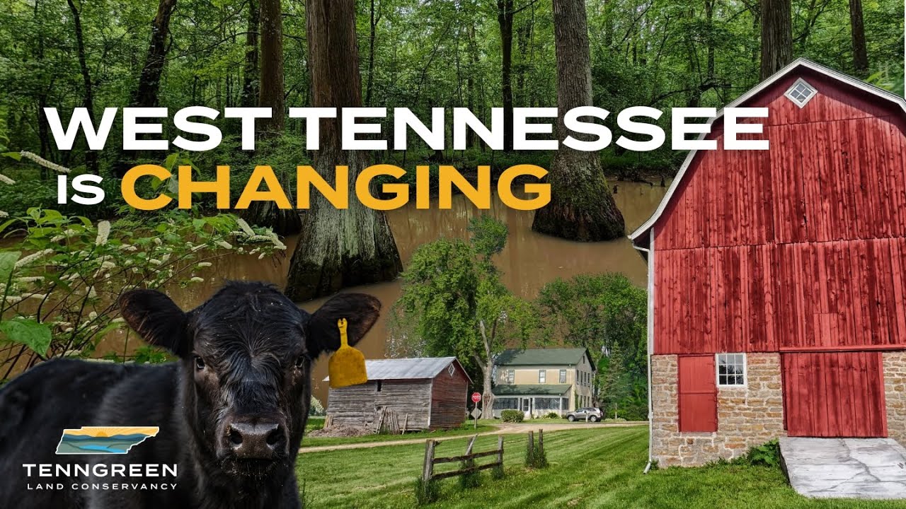 West Tennessee is Changing: Let's Protect it Together