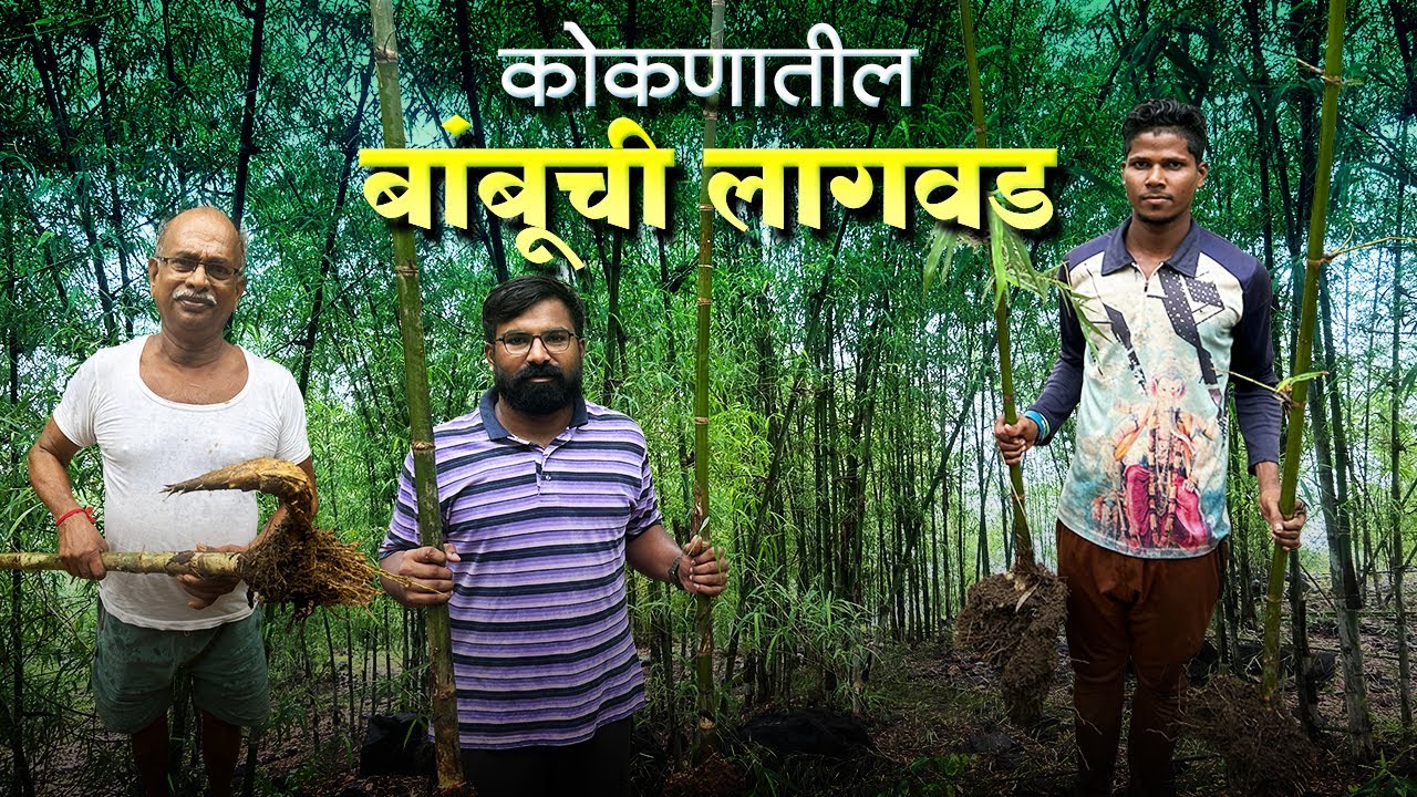 कोकणातील 