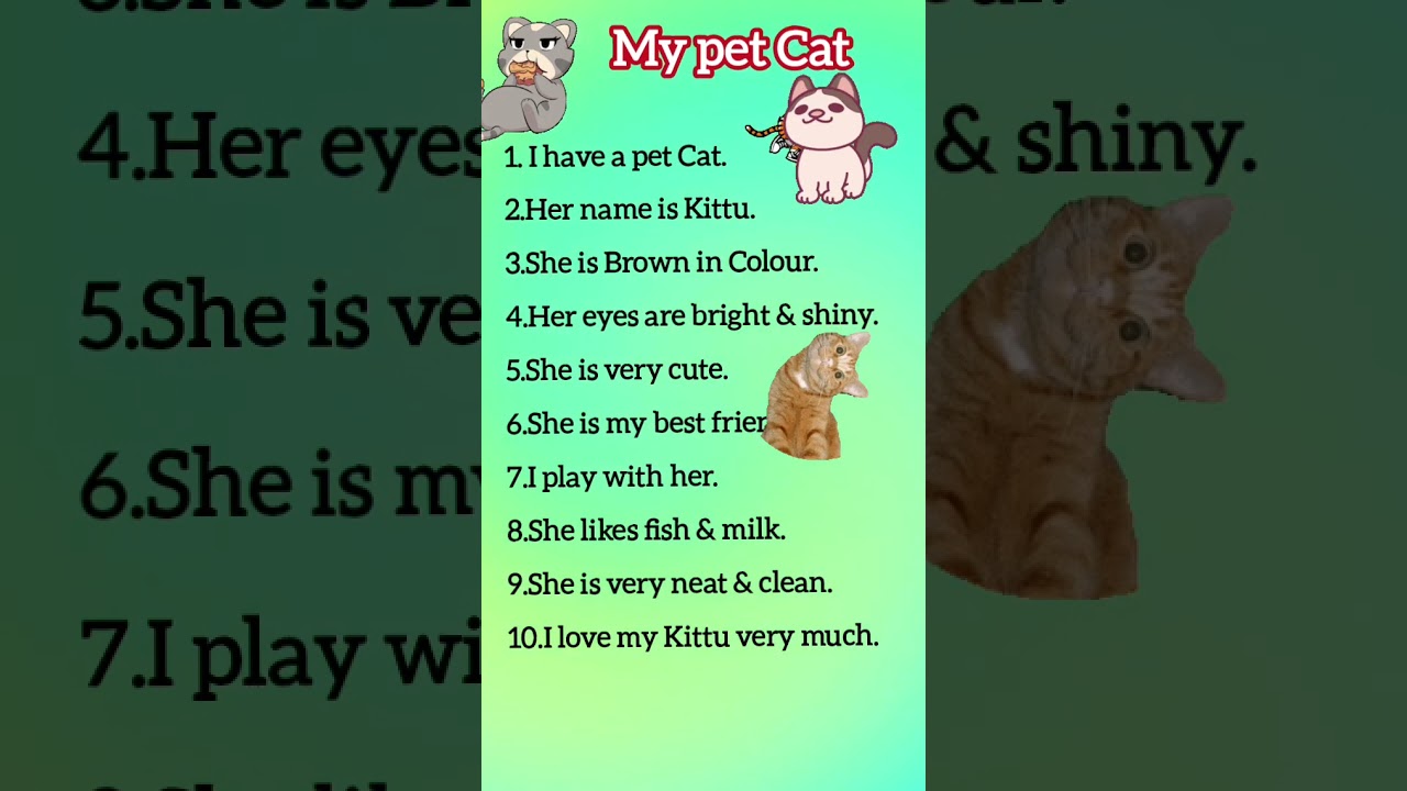 10 lines on my Pet Cat english/my cat essay in english/10 lines on my pet Cat
