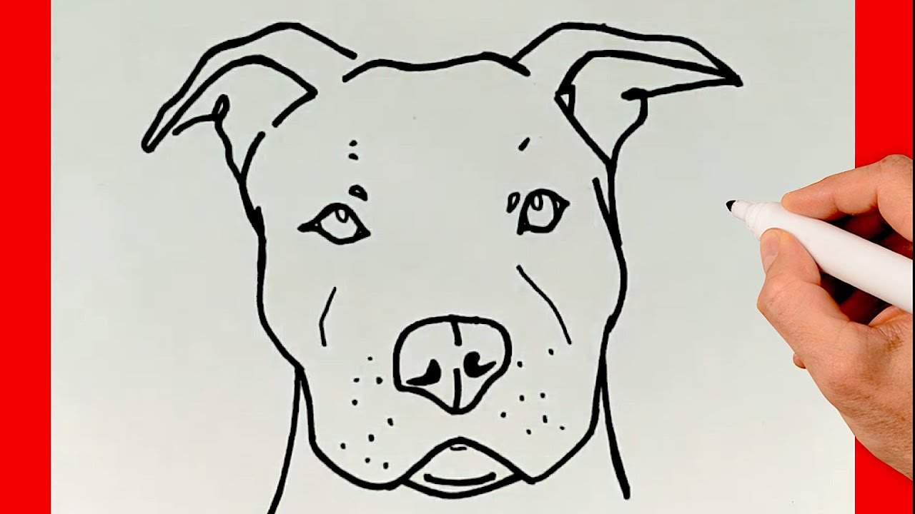 COMO DIBUJAR UN PITBULL ✅