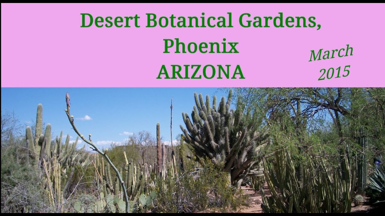 Arizona Phoenix Desert Botanical Gardens 2015
