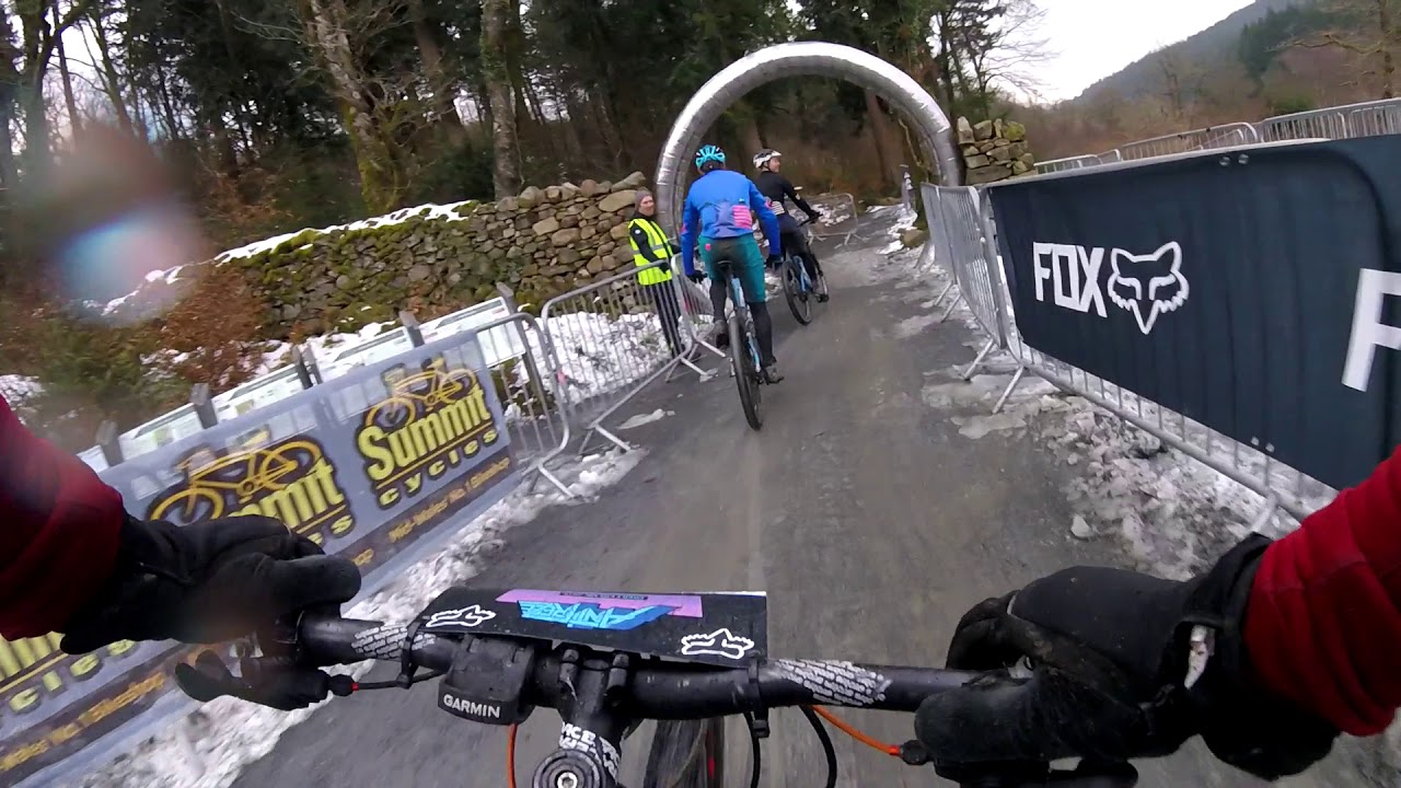 Fox Antifreeze - 2018