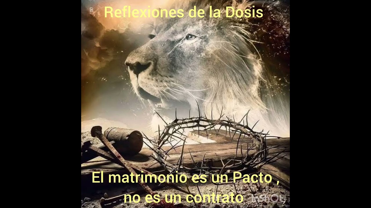 Reflexiones de la Dosis - El matrimonio es un Pacto , no es un contrato 