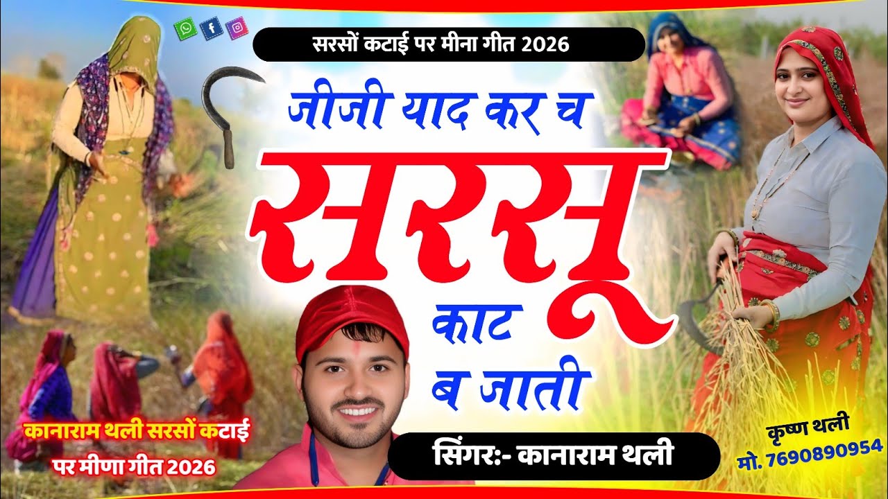 सरसों कटाई पर मीणा गीत 2026 !! जीजी याद कर छ सरसू काट ब जाती ~ कानाराम थली सरसों लावणी मीणा गीत 2026