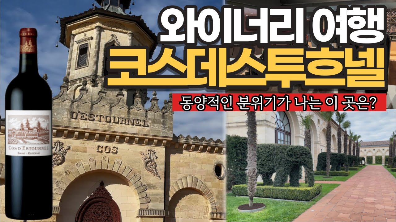 [와인여행]보르도 슈퍼세컨드 🐘코끼리에게 진심인 코스데스투흐넬 와이너리 투어