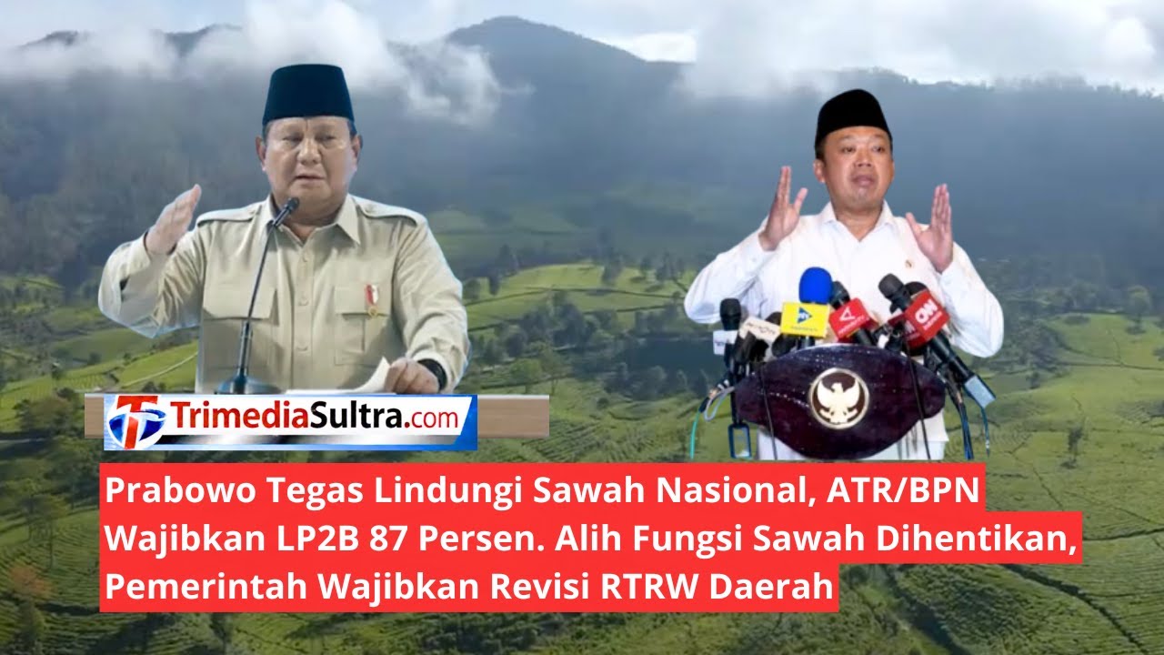 ATR/BPN Wajibkan Revisi RTRW Daerah, 87 Persen Sawah LP2B Tak Boleh Dialihfungsikan