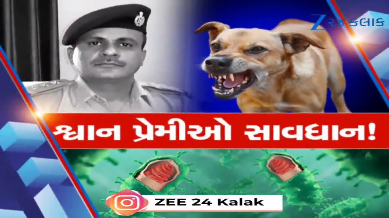 Ahmedabad Stray Dog Attack: Official Dies in Shocking Incident, Dog Lovers Beware